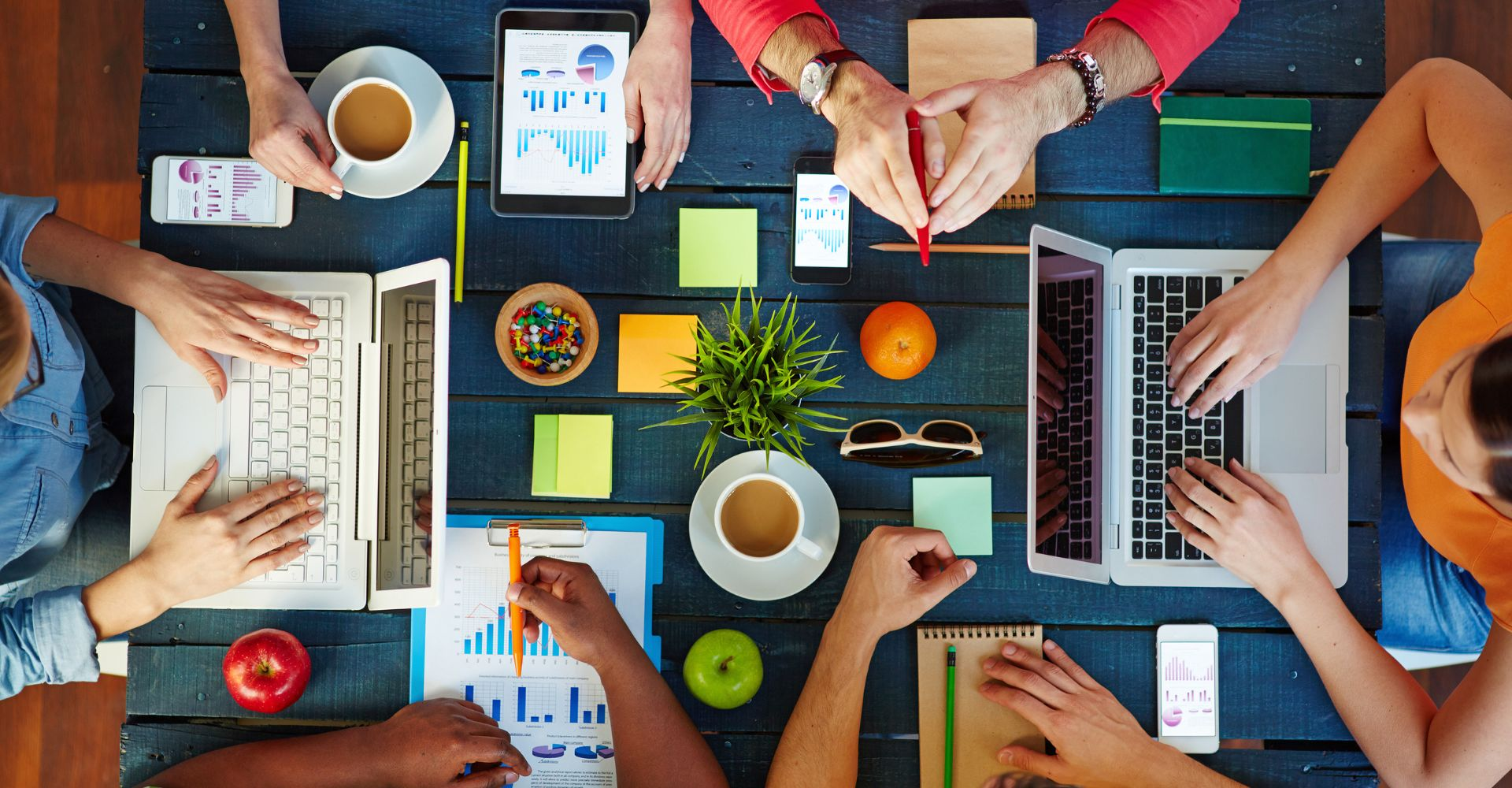 Accreditation of Wellness Organisations
