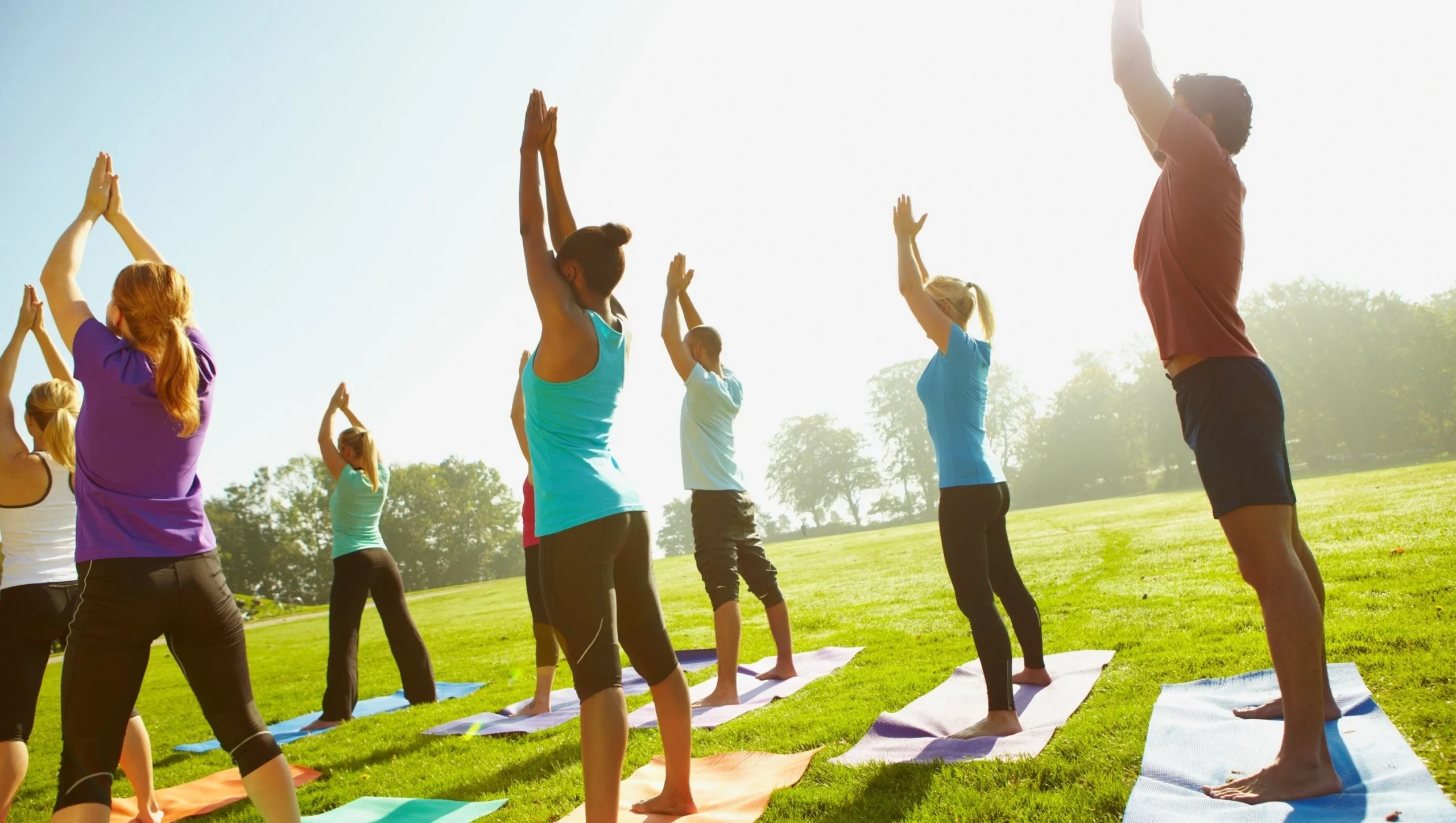 Mind-Body Wellness: A Holistic Path to Health