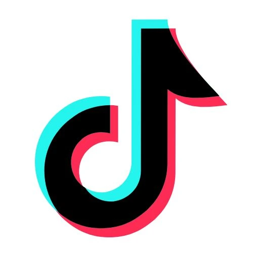 Wellness directory Tik Tok Icon