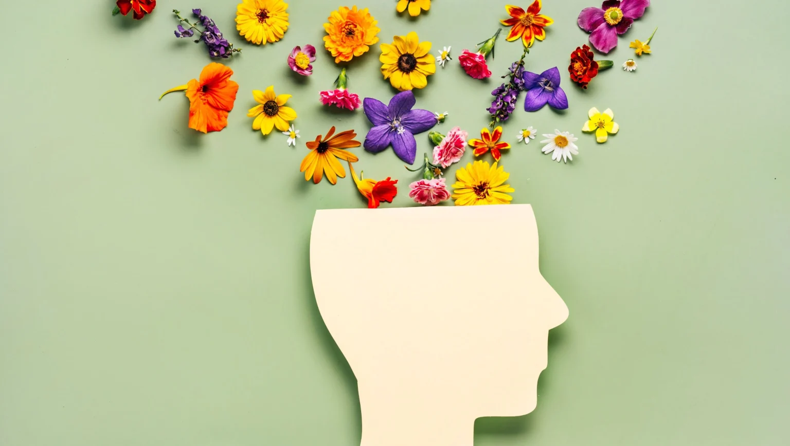 Understanding the concept of mental wellness and its importance
